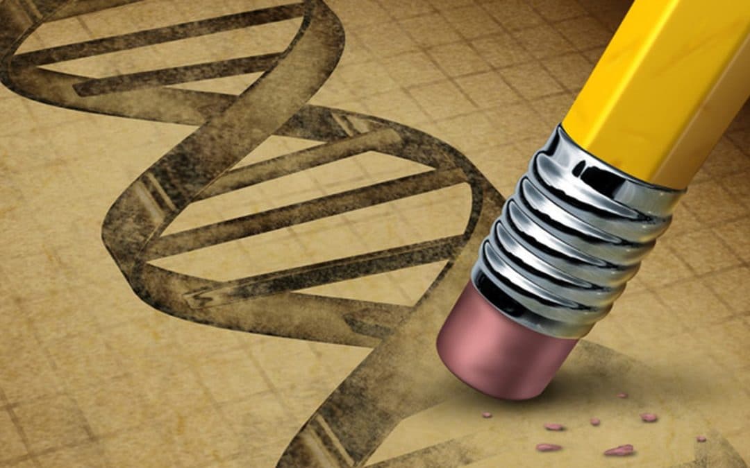 Caractéristiques et déroulement de la mutation ADN