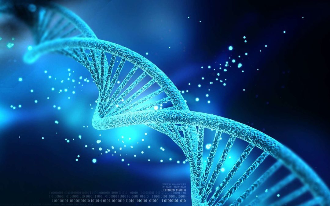 séquences ADN