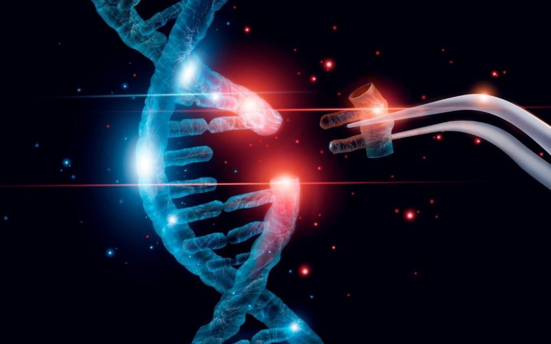 sequence ADN