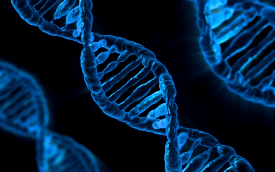 Le CNV génétique et les maladies héréditaires