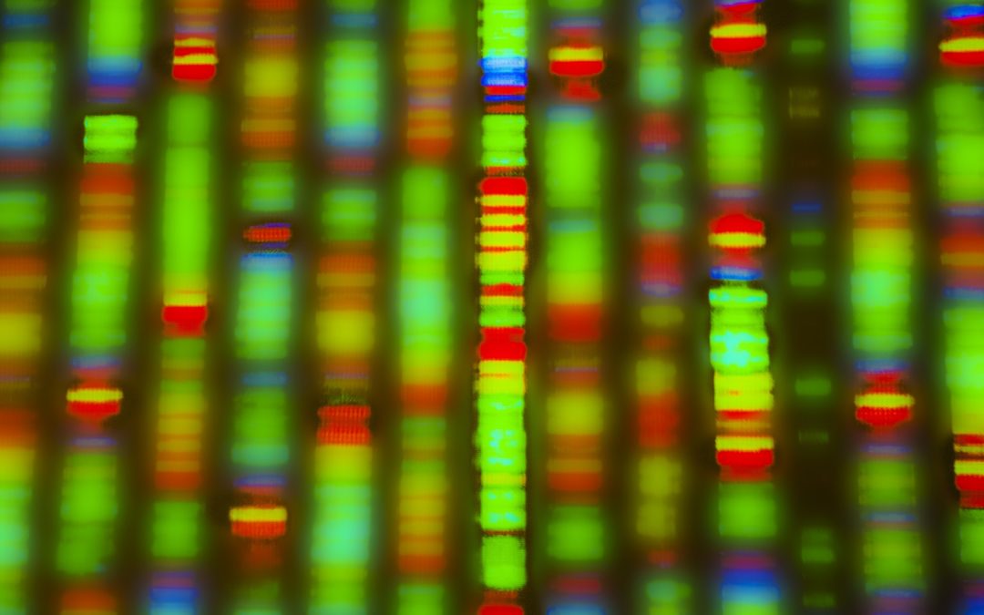Tableau code génétique : savoir comment lire le tableau code génétique